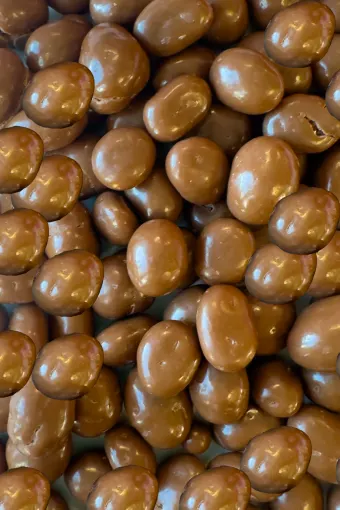 Sjokopeanøtt