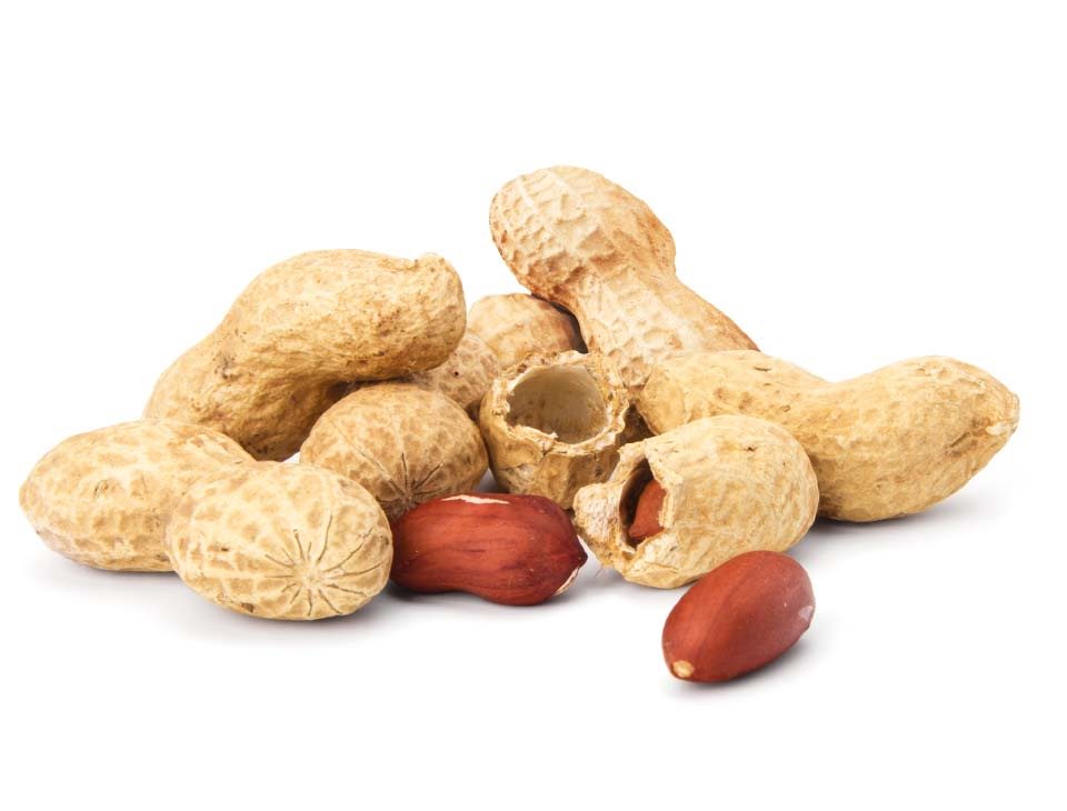 PEANØTTER